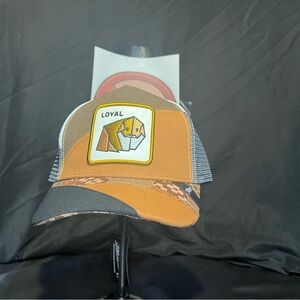 Men's Brown and Gray Trucker Hat